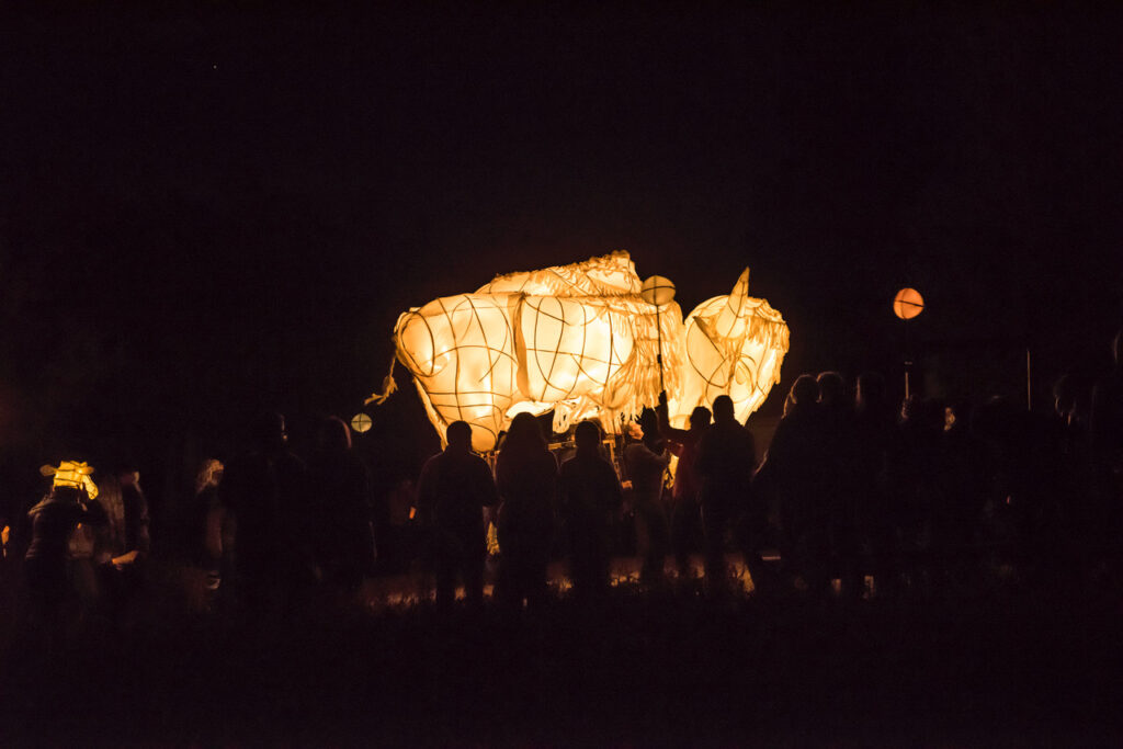 Iniskim – Return of the Buffalo. An immersive, outdoor lantern-puppet performance and documentary celebrating the historic reintroduction of plains bison to Banff National Park
